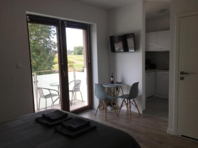 Studio Fibra Lungo, Rybnik